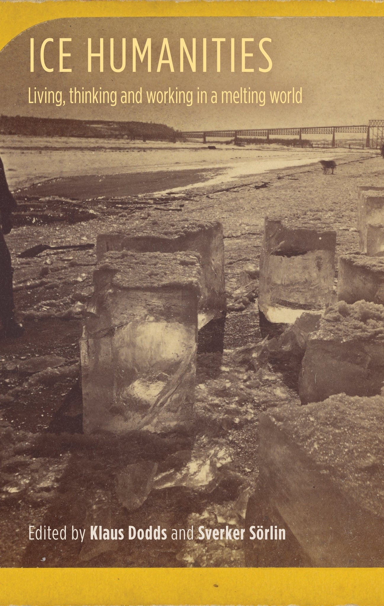 Cover image for Ice humanities ISBN 9781526157775